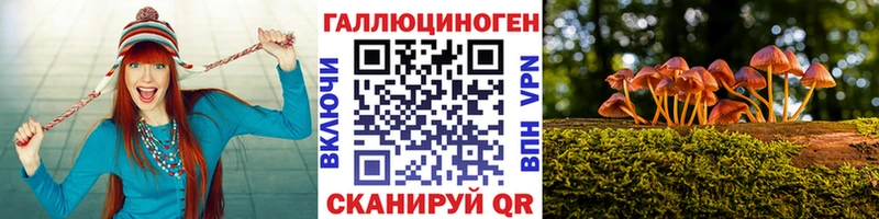 магазин продажи   Нижневартовск  Псилоцибиновые грибы Psilocybe 